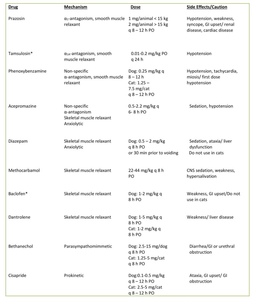 Urinary Incontinence In The Dog - PROIN ER™